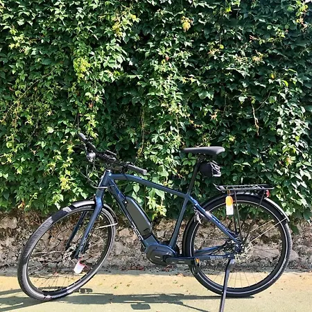 Don Paco Otel Llanes